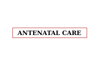 Antenatal care.pptx